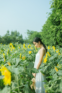 --纯图--采集到花为辅 人物摄影