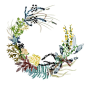 wreaths - katie vernon art illustration