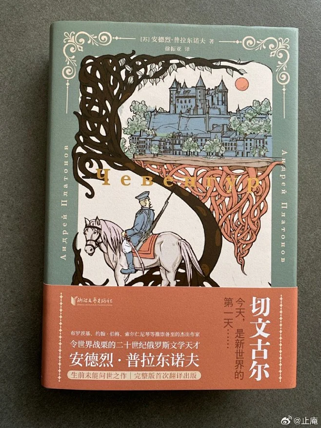 止庵 5-10 18:51 传记与随笔作家，著有《周作人传》《神奇的现实》《樗下读庄》等 已编辑 #推荐一本书# 重读完了普拉东诺夫著长篇小说 ...