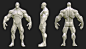 Stylized Hero *Anatomy Blockout