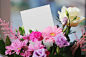 Free stock photo of love, romantic, flowers, plant