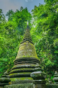 泰国,宝塔,森林,国内著名景点,美术工艺,景观设计,壁纸,公园,建筑业,背景