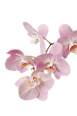 f5615fa6ed5a72ad16608ddba006d67a0115cf2e421de-AJBK3x_fw1200