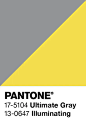 Pantone Color of the Year Chip