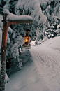 Lantern in the snow!