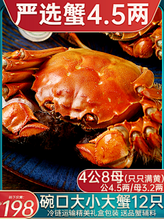 12只大闸蟹螃蟹鲜活全公母特大河蟹阳澄湖镇官方旗舰发礼盒现货-tmall.com天猫