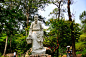 【加油站】遍尝山林野味，神游蒙山国家森林公园