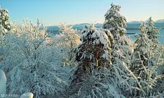 冬季雪景动态壁纸下载-唯美冬天雪景动态壁纸 - 未来Mac下载