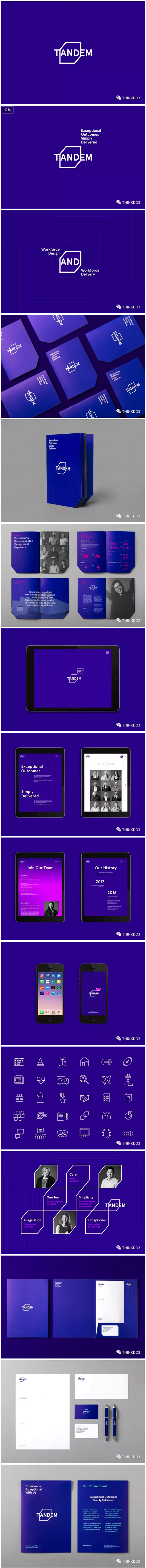 【Tandem交付公司品牌形象VI设计】...