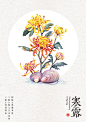 寒露