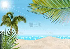 海洋,海滩,棕榈树,背景,壁纸,植物群,海岸线,泻湖,海湾,休闲