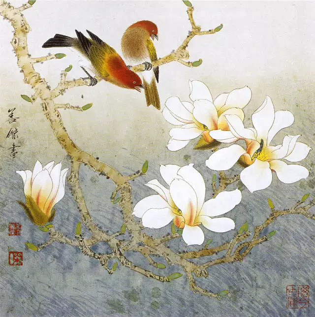 李善杰工笔画玉兰欣赏呢喃花妍