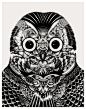 Owl portraits on Behance