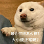 表情包分享12