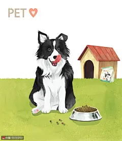 宠物边境牧羊犬狗粮狗木屋我和萌宠插画 萌宠动物 家庭宠物