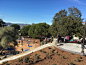 San-Francisco’s-Bayview-Hill-park-by-Miller-Company-Landscape-Architects-17