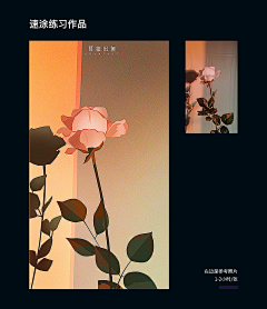 萌萌果-采集到速途
