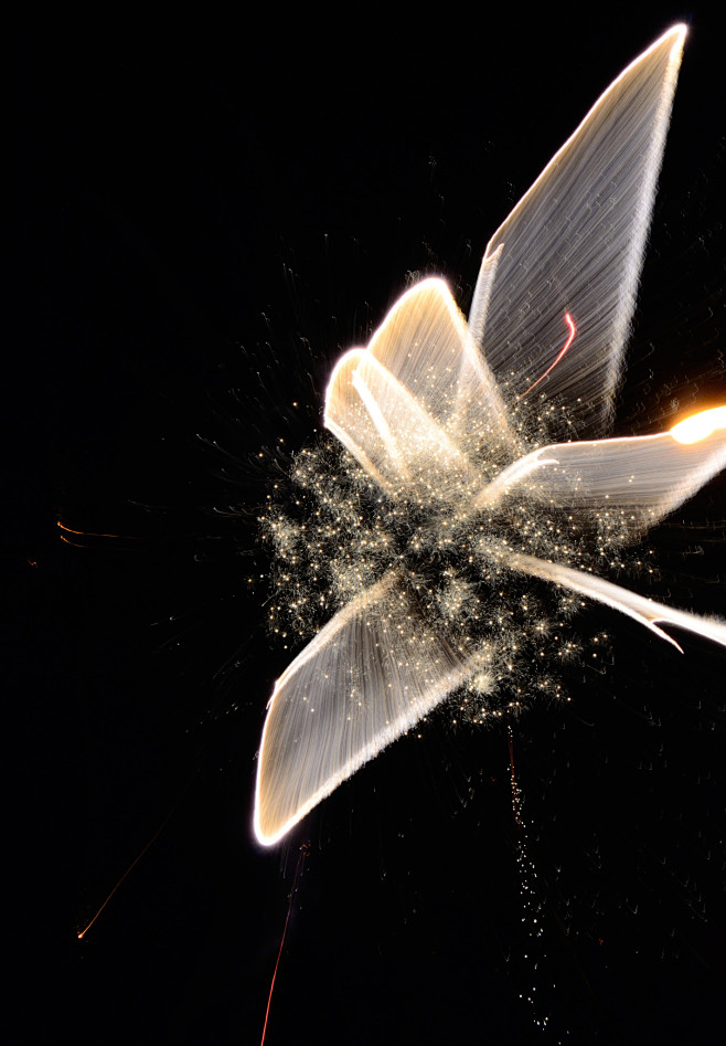 Fire Work Bird by Je...