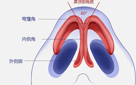 上海华美综合隆鼻，上海华美综合鼻部整形_...