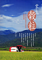 掌生穀粒