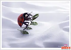 Surf Kin衣物柔顺剂广告,bee,Ants,Ladybird | +IDEA视觉 - 标志,画册,名片,包装,装帧,招贴,海报,广告,时尚,CI,VI,动漫,UI,CG,插画,漫画,摄影,室内,工业,网页,展示
