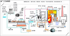 PIpili₊⁺采集到拓扑图