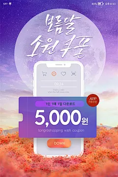 夕阳落日黄昏金秋唯美景色枫叶促销活动时尚背景海报