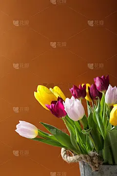 春花在桶里