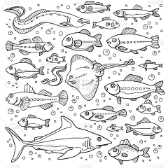 啊~噜噜采集到插画