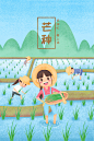清新风二十四节气芒种插画手绘PSD海报PS素材24节气农历传统节日