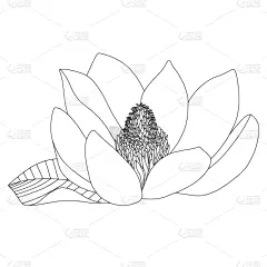 圆形,有机食品,式样,迷宫游戏,生物学,几何形状,纺织品,直的,壁纸,布置