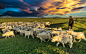 牧羊人 by ricguo  on 500px