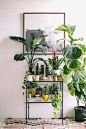 Back On Campus: The Shelfie - Urban Outfitters - Blog