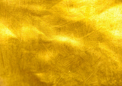 LennyD采集到金GOLD