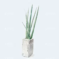 png格式植物花卉手绘素材  - 源文件下载【酷图网】插画,卡通,花型,手绘,盆栽,植物,花卉,素材,插图,兰花,草,