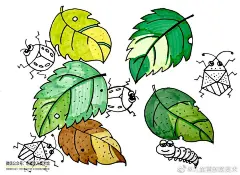 猜猜树叶底下藏着什么？陈旧的树叶随着春风飘落在地上，铺撒开来。如果你翻开这些树叶，你会发现树叶底下藏着好多小秘密呢！好多小昆虫藏在树叶底下：蜗牛在睡懒觉，毛毛虫地上打滚，有的还在吃零食，七星瓢虫都等不及了想要看世界从树叶下探出头来......，我们一起来看看树叶底下藏有哪些小昆虫