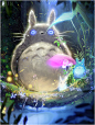 Totoro, Ross Tran : Hey guys! Here's a collab I did with my dog  It was a huge request and I wanted to continue the Ghibli series! Hope you enjoy it