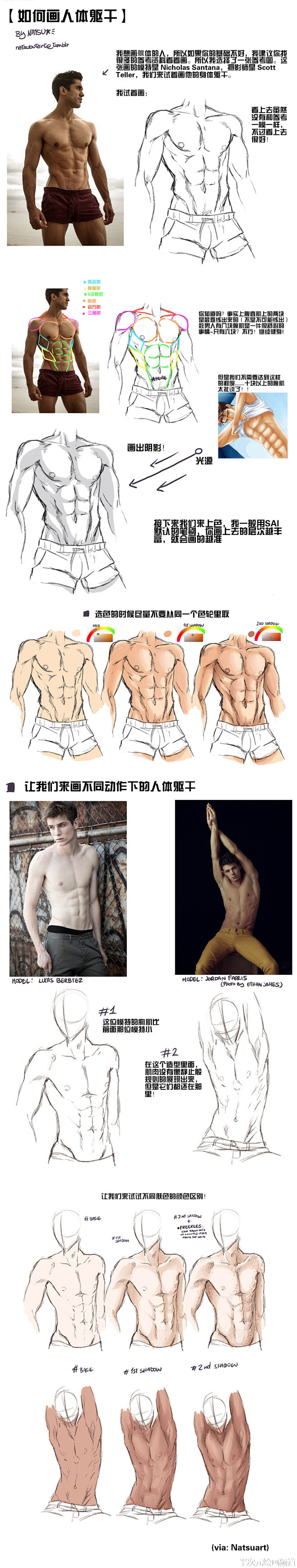 看完这9个肌肉教程，还怕画不出美国队长吗...