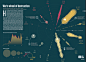 This is Visual Journalism [79] : More than 50 infographics from across the world to get you inspired 