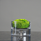 简约现代经典 瓶底气泡直筒透明玻璃花瓶 永生苔藓花器家居摆件-淘宝网