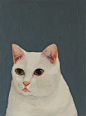 realistic kitty - kate pugsley