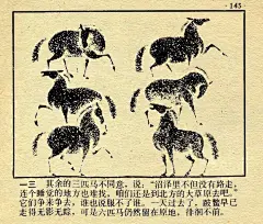这风格绝了，大俗大雅，有趣的灵魂 - 小红书