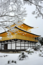 Japanese Winter: Kikaku-ji Temple, Kyoto