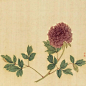 国画临本_4_南乔国画_来自小红书网页版