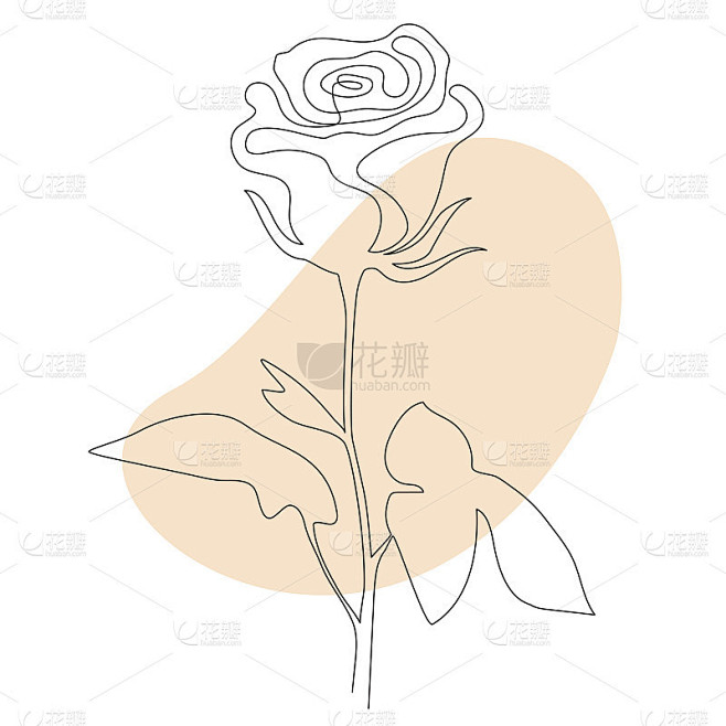 玫瑰线艺术-美丽的花。矢量插图。连续的线...