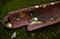 Gallery | 截金art - kirikane art -