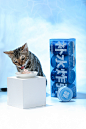 Cat Food Packaging 尾巴生活补水炸弹 FURRYTAIL BOOM!WATER : 补水炸弹是尾巴生活®新推出的宠物猫罐头。为了让不爱喝水的小猫咪也拥有充足的水分，补水炸弹充分发挥高蛋白+强补水的功能，让小猫咪拥有充足的能量。它一共有4种口味，分别是：金枪鱼+鸡肉、金枪鱼+鲜虾、金枪鱼+扇贝、金枪鱼+火鸡。4种美味海鲜与优质肉源的组合，给猫前所未有的补水大餐。高级、野性是尾巴生活®品牌的关键词。由此出发，我们希望藉由包装带给消费者独特的视觉感受，既体现出与品牌相符的调性、也让产品拥有非常