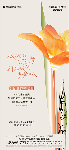 阿奇啊是我采集到节日节气