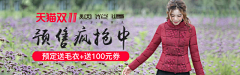 风清云扬采集到2018烟花烫钻展图