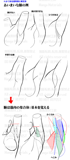 jtscysm111采集到人体结构